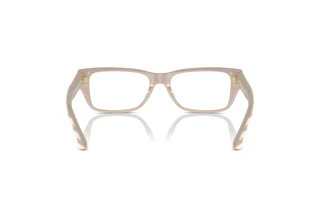 [glasses-back-view] Jimmy Choo JC3016 (5033)