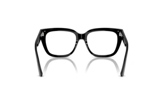 Vista posterior Jimmy Choo JC3019B (5000)