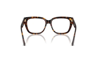 [glasses-back-view] Jimmy Choo JC3019B (5002)