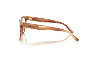 [glasses-side-view] Jimmy Choo JC3019B (5055)