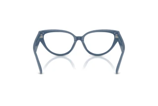 [glasses-back-view] Jimmy Choo JC3023HU (5020)