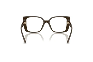 [glasses-back-view] Jimmy Choo JC3024U (5060)