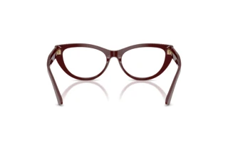 Vista posterior Jimmy Choo JC3030B (5057)