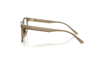 [glasses-side-view] Jimmy Choo JC3038D (5051)