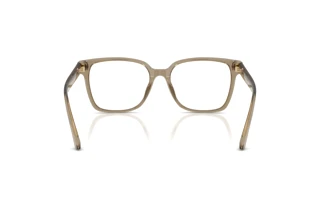 [glasses-back-view] Jimmy Choo JC3038D (5051)