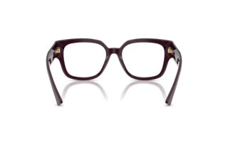 Vedere din spate Jimmy Choo JC3042B (5075)