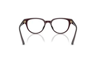 Vedere din spate Jimmy Choo JC3051D (5086)