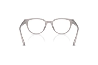 Vedere din spate Jimmy Choo JC3051D (5096)