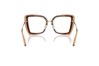 [glasses-back-view] Jimmy Choo JC3059 (5105)