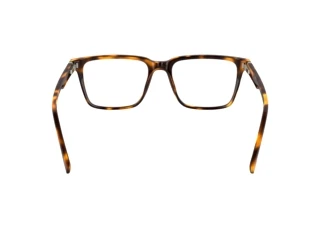 Πίσω όψη Lacoste L2963 (214)