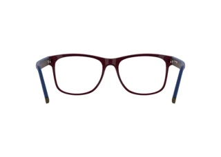 Vy bakifrån Lacoste L4004 (601)