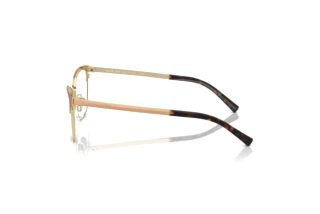 [glasses-side-view] Michael Kors ADRIANNA IV (MK3012 - 1213)