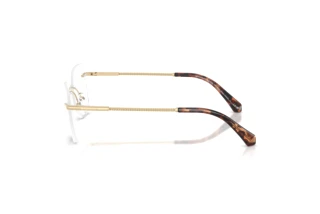 [glasses-side-view] Michael Kors NAGS HEAD (MK3099 - 1014)