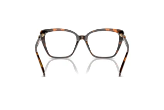 [glasses-back-view] Michael Kors AVILA (MK4110U - 3006)