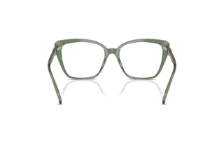 [glasses-back-view] Michael Kors AVILA (MK4110U - 4022)
