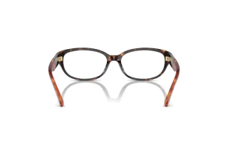 [glasses-back-view] Michael Kors GARGANO (MK4113 - 3006)
