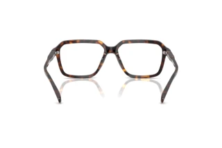[glasses-back-view] Michael Kors SAGUARO (MK4159U - 3006)