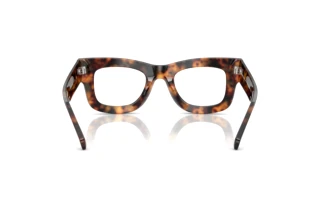 [glasses-back-view] Michael Kors CORAL GABLES (MK4160 - 3904)