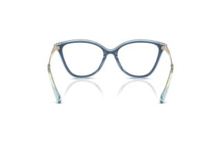 [glasses-back-view] Michael Kors COSTA BRAVA (MK4190U - 4031)