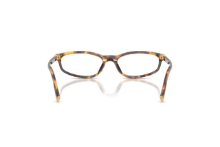 [glasses-back-view] Miu Miu MU 01ZV (14L1O1)