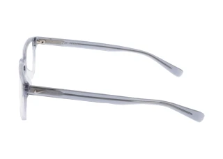 [glasses-side-view] Nike NIKE 1001Y (462)