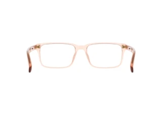 [glasses-back-view] Nike NIKE 1001Y (681)