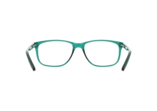 [glasses-back-view] Nike NIKE 5019 (322)