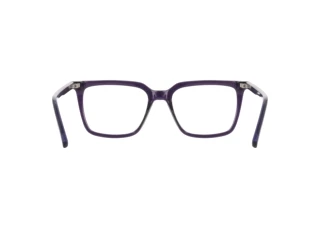 [glasses-back-view] Nike NIKE 7064 (501)