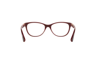 Πίσω όψη Oakley PLUNGELINE (OX8146 - 814604)