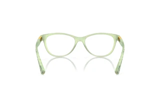 Vista posterior Oakley PLUNGELINE (OX8146 - 814610)