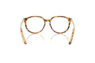 Vista posterior Oakley BMNG (OX8150 - 815007)