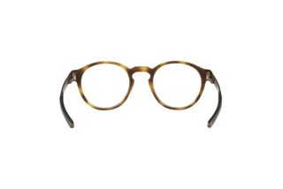 [glasses-back-view] Oakley SADDLE (OX8165 - 816502)