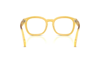 Vy bakifrån Persol PO0082V (204)