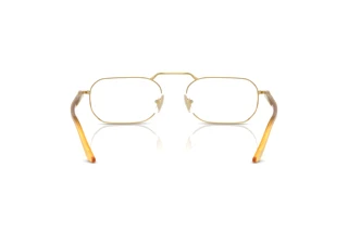 Vista posterior Persol PO1020V (1129)