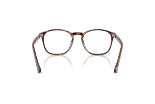 [glasses-back-view] Persol PO3007VX (24)