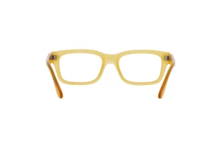 [glasses-back-view] Persol PO3301V (204)