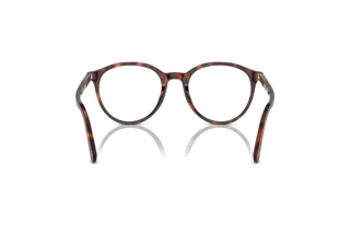 Vista posterior Persol PO3353V (24)
