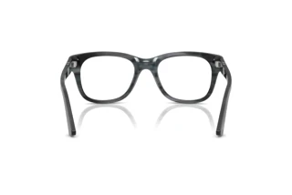 Vy bakifrån Persol PO3372V (1224)