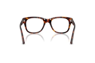Vista posterior Persol PO3372V (24)