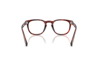 [glasses-back-view] Persol GIANNI (PO3406V - 1242)