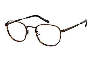 Pierre Cardin P.C. 6899 N70 MATTE BRONZE HAVANA