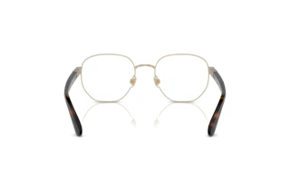 [glasses-back-view] Polo PH1224 (9211)
