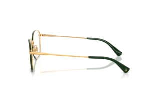 [glasses-side-view] Polo PH1242 (9402)