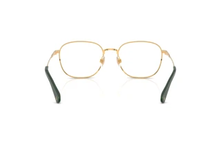 [glasses-back-view] Polo PH1242 (9402)