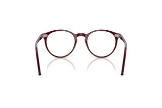 [glasses-back-view] Polo PH2083 (6146)