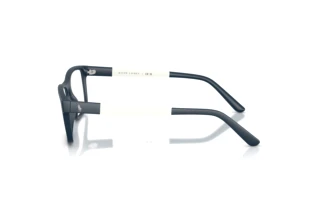 [glasses-side-view] Polo PH2212 (5904)