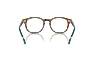 Vista posterior Polo PH2267 (5017)