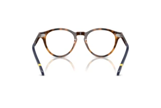 [glasses-back-view] Polo PH2268 (5303)