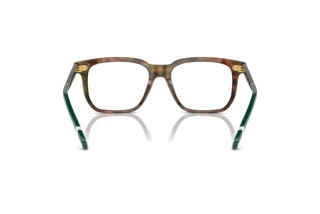 [glasses-back-view] Polo PH2269 (5017)