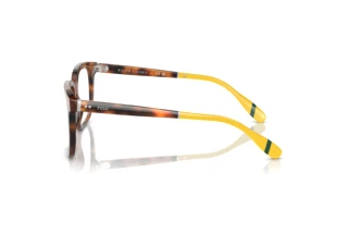 [glasses-side-view] Polo PH2269 (6089)